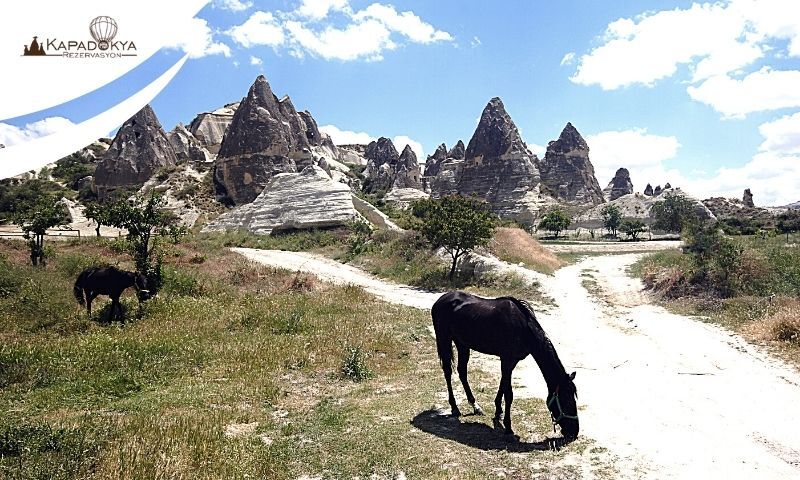 Kapadokya At Turu